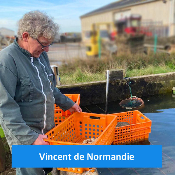 Huîtres Creuses Spéciales d'Isigny - Normandie